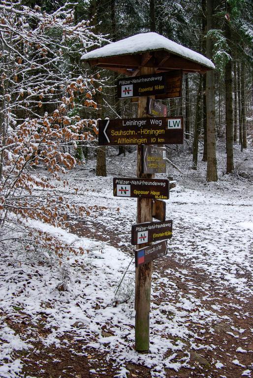 Naturfreundehaus Rahnenhof Carlsberg Екстер'єр фото